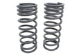 TF029 TERRAFIRMA STD HEIGHT REAR COIL SPRINGS DISCO 2 PAIR